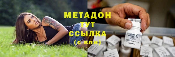 амф Алзамай