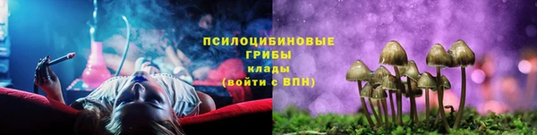 амф Алзамай