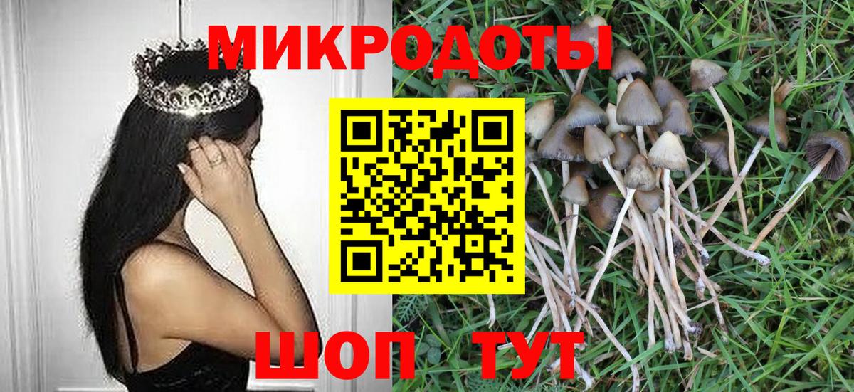 Псилоцибиновые грибы мицелий Михайловск