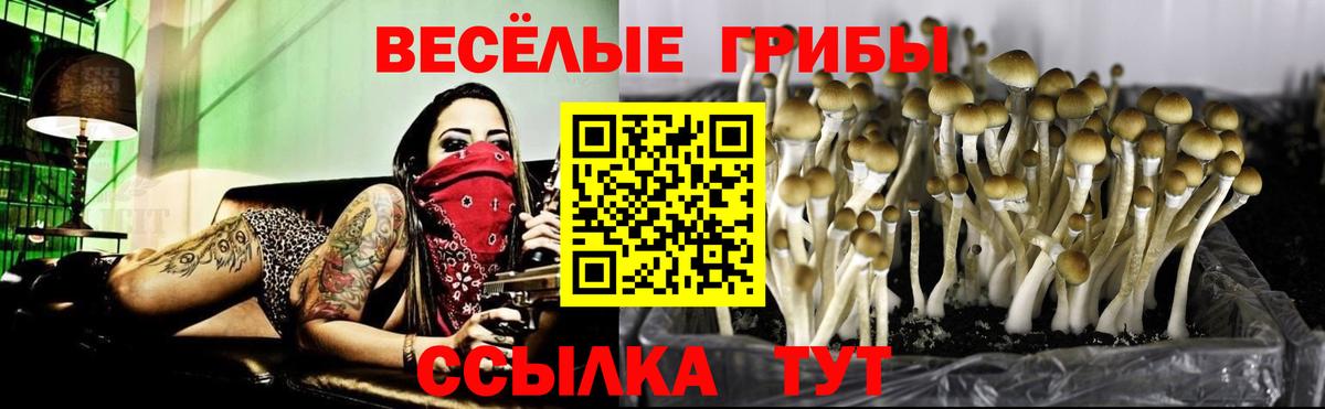 МЕТАМФЕТАМИН  Вход с VPN  Купить закладку  Михайловск  Бошки Шишки  Гашиш  Каннабис  Меф МЯУ МЯУ  