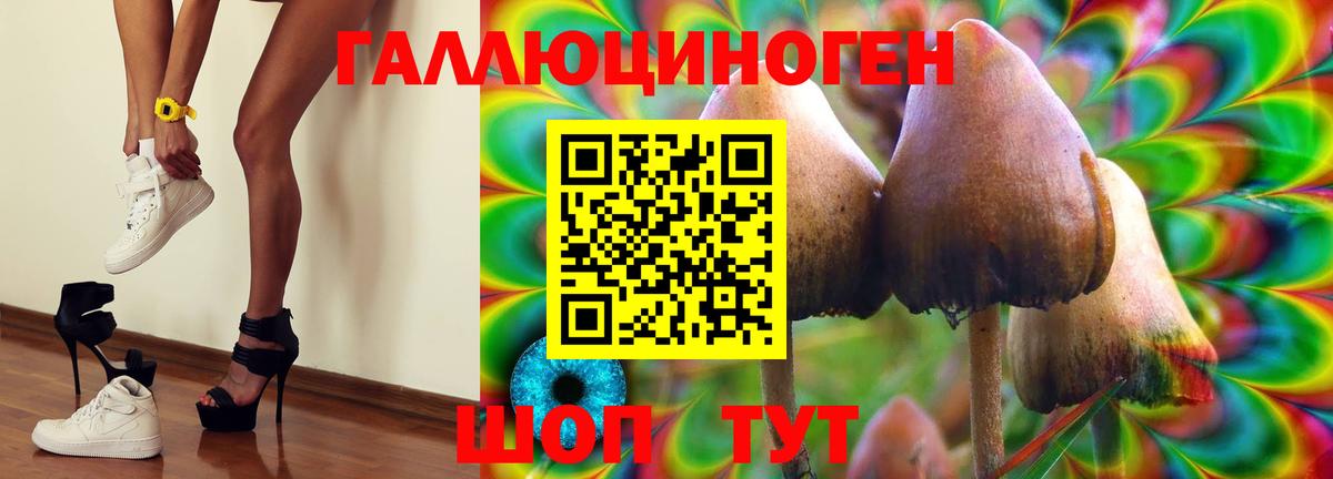 Псилоцибиновые грибы Psilocybine cubensis  Вход с VPN  Михайловск  Псилоцибиновые грибы ЛСД 