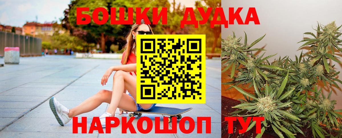 Михайловск  Бошки марихуана сатива  Шишки марихуана сатива  Вход с VPN  Бошки Шишки VHQ  Бошки Шишки тримм 